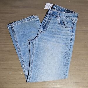 American Eagle Outfitters Light Blue Ex Boyfriend Jeans Low Rise Strigid